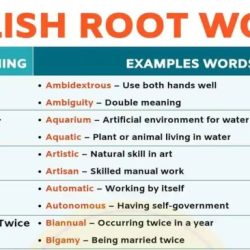 Words with the root amo