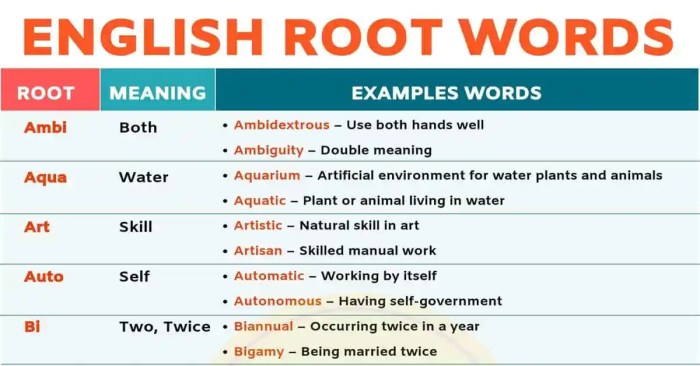 Words with the root amo