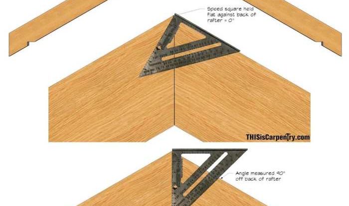 Cuts at an angle crossword