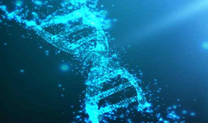 Video tutor session quiz dna structure