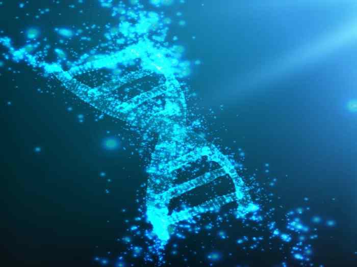 Video tutor session quiz dna structure