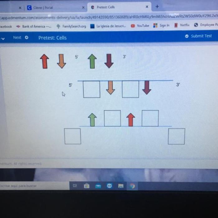 Arrange the symbols to form a dna molecule.