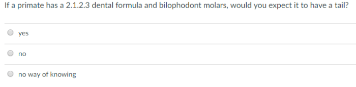 Match the primates with their correct upper-jaw dental formula