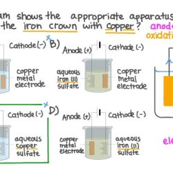 Chemistry cell galvanic copper zinc cathode anode mcat daniell electrochemical cells electrode electrochemistry sulfate solution containing general review each figure